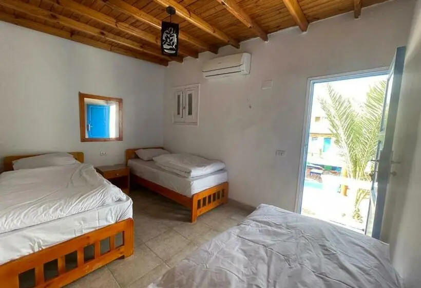 اتاق استاندارد, Auski Hostel Dahab