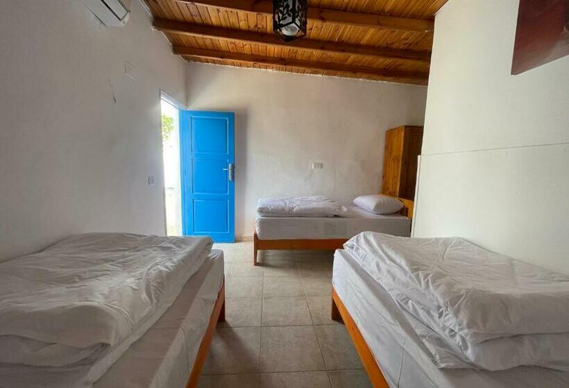 اتاق استاندارد, Auski Hostel Dahab
