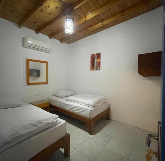 اتاق استاندارد یک تخته با سرویس بهداشتی مشترک, Auski Hostel Dahab