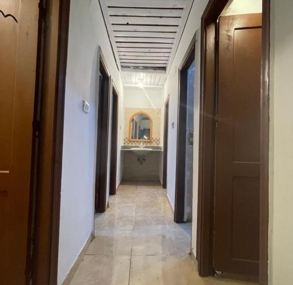 تختخواب در اتاق مشترک, Auski Hostel Dahab