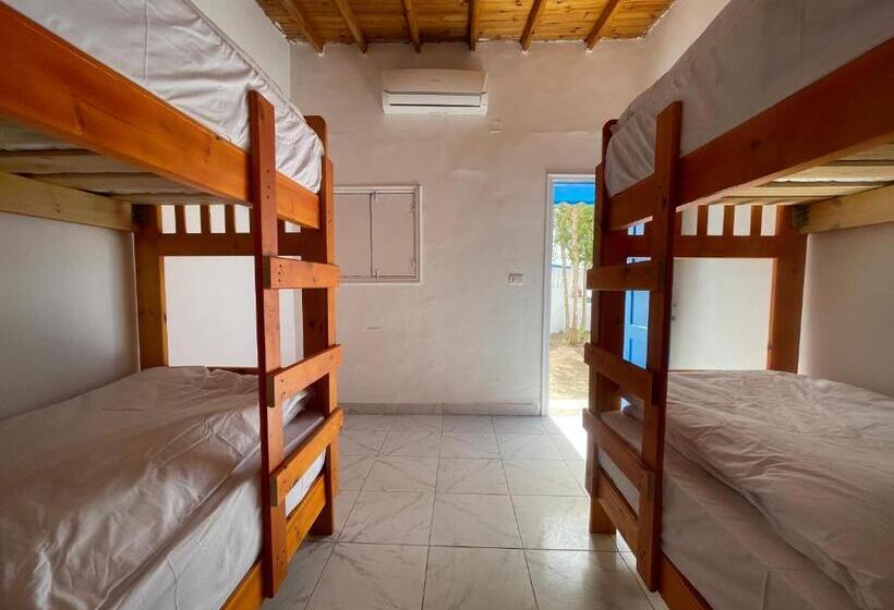 تختخواب در اتاق مشترک, Auski Hostel Dahab