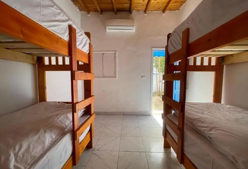 اتاق استاندارد چهار تخته, Auski Hostel Dahab