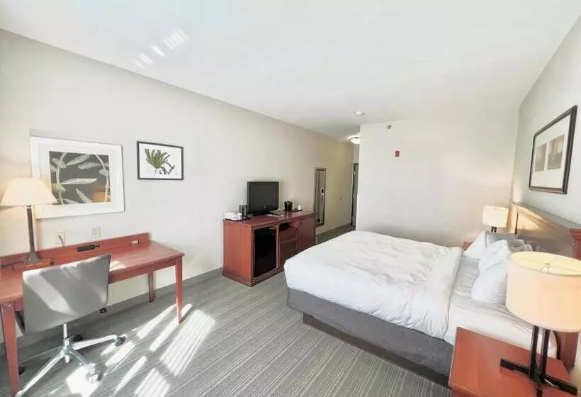 キングサイズベッドのスタンダードルーム, Country Inn & Suites By Radisson, Emporia, Va