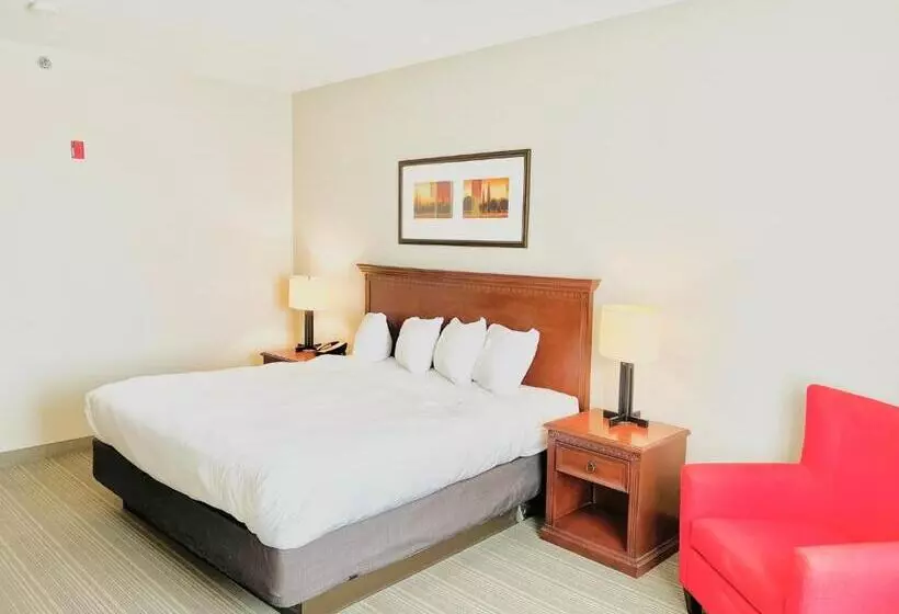 キングサイズベッドのスタンダードルーム, Country Inn & Suites By Radisson, Emporia, Va