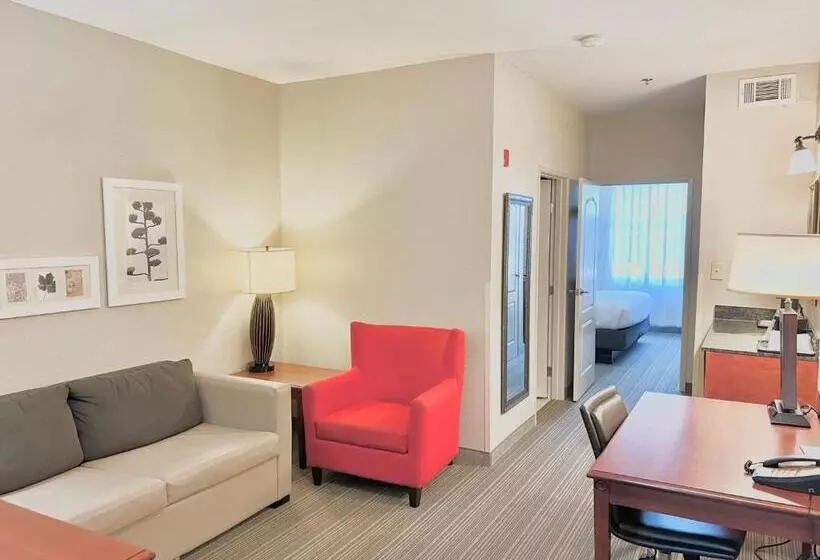 キングサイズベッドのスイートルーム, Country Inn & Suites By Radisson, Emporia, Va