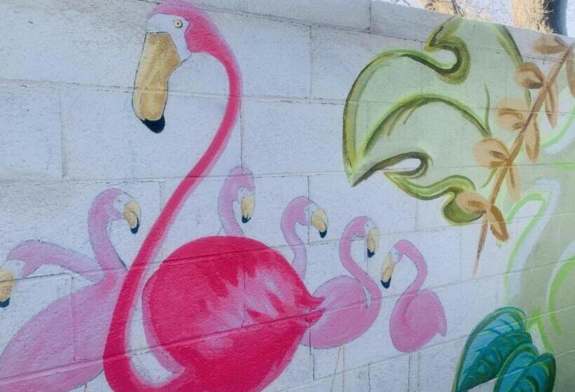 패밀리 룸, Dragonfly Motor Lodge