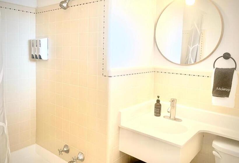 스탠다드 룸, Dragonfly Motor Lodge