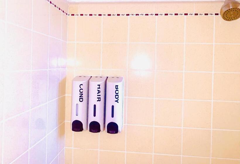 스탠다드 룸, Dragonfly Motor Lodge