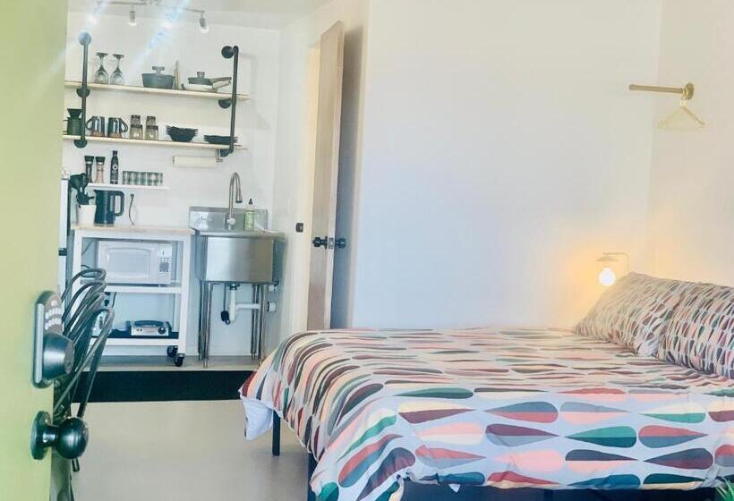 디럭스 스튜디오, Dragonfly Motor Lodge