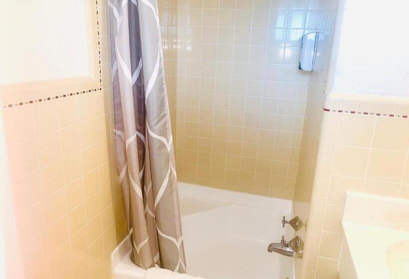 스탠다드 룸, Dragonfly Motor Lodge