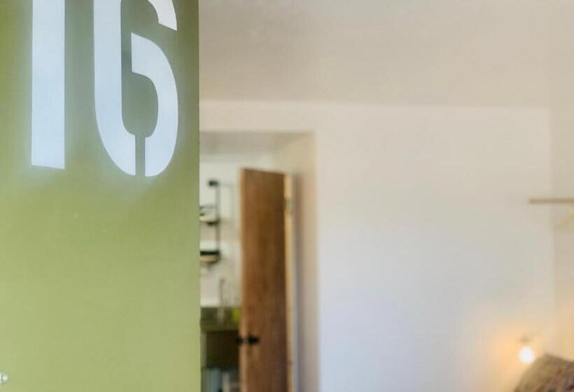 디럭스 스튜디오, Dragonfly Motor Lodge