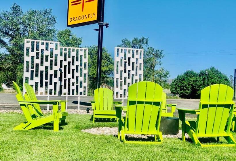 디럭스 스위트, Dragonfly Motor Lodge