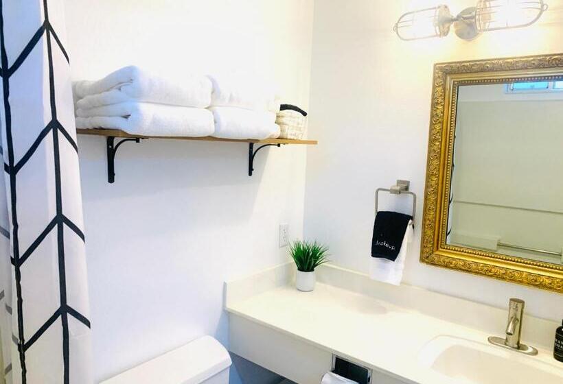 디럭스 스튜디오, Dragonfly Motor Lodge