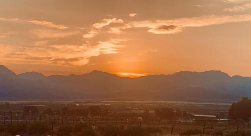 패밀리 룸, Dragonfly Motor Lodge