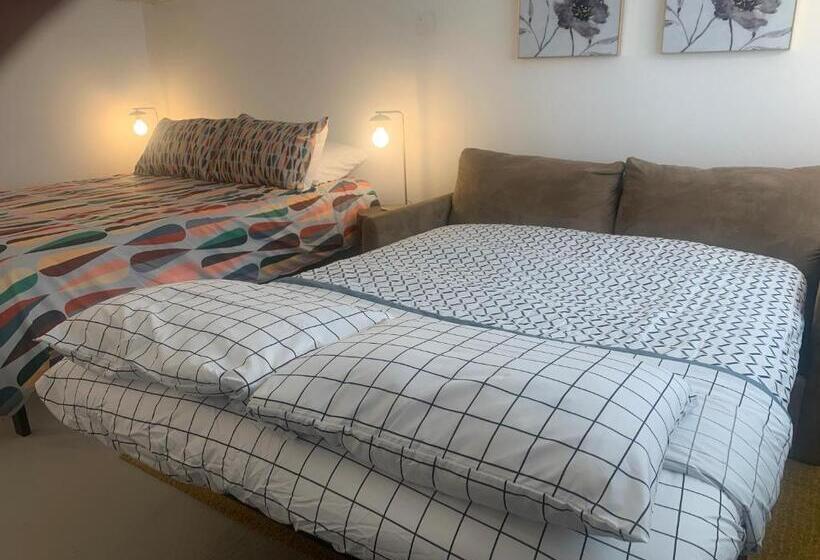 디럭스 스튜디오, Dragonfly Motor Lodge