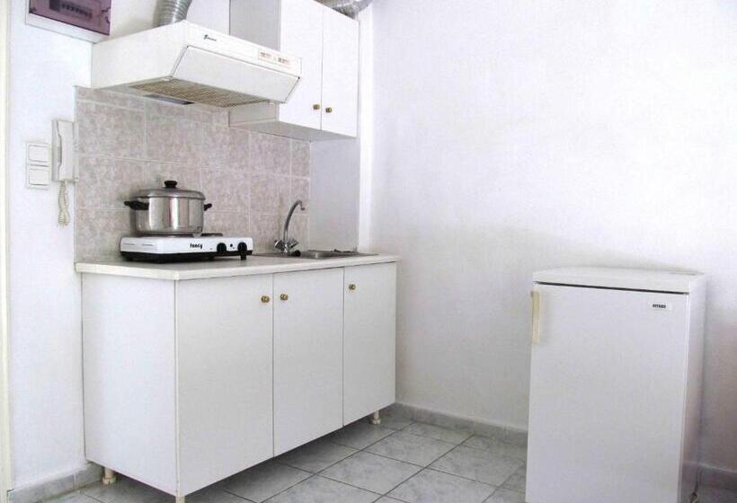 استودیوی استاندارد, Pagona