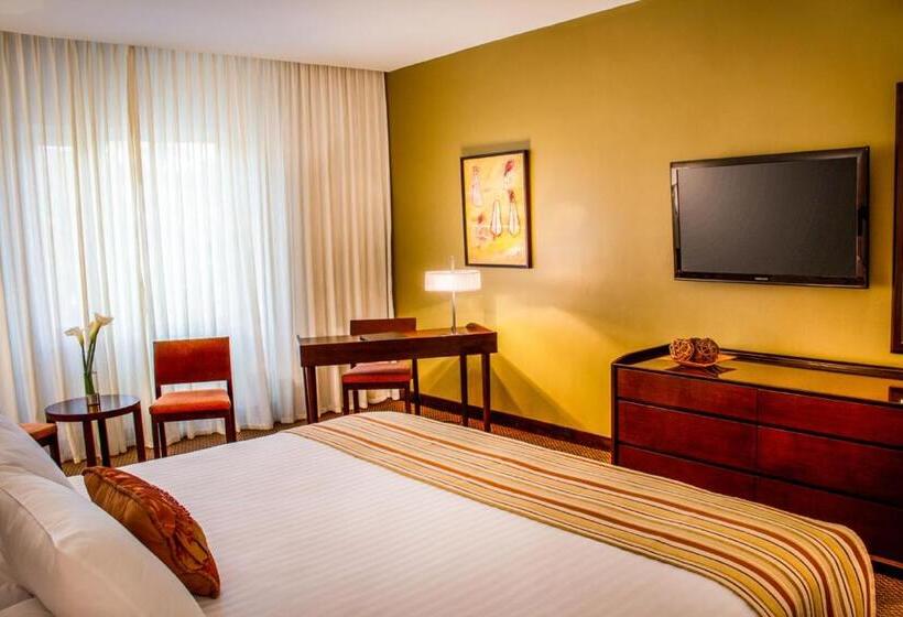 اتاق لوکس یک تخته, Lidotel San Cristobal