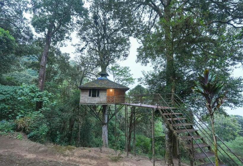 １ベッドルームハウス, Nature Zone Jungle Resort