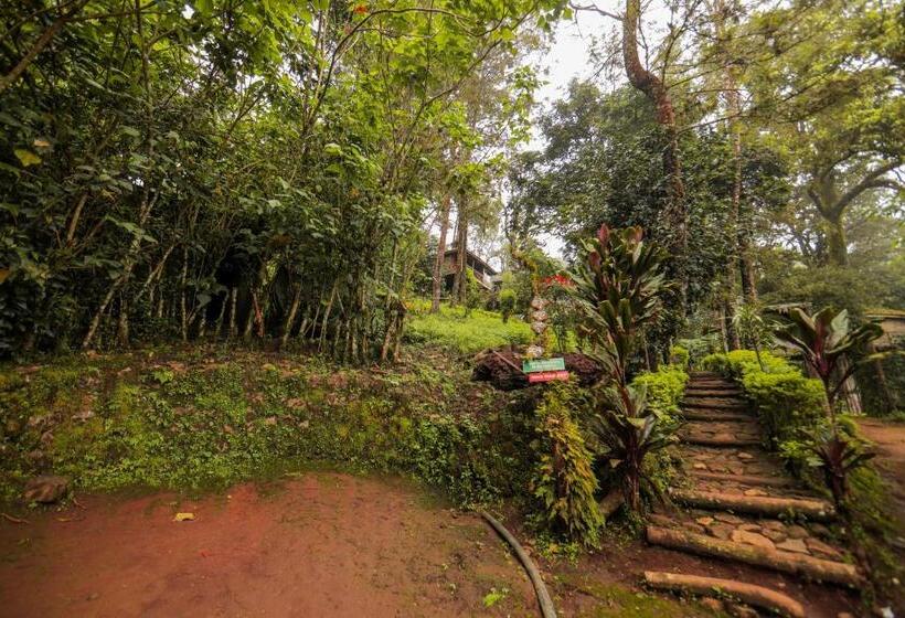 １ベッドルームハウス, Nature Zone Jungle Resort