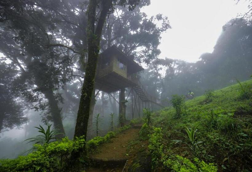 １ベッドルームハウス, Nature Zone Jungle Resort