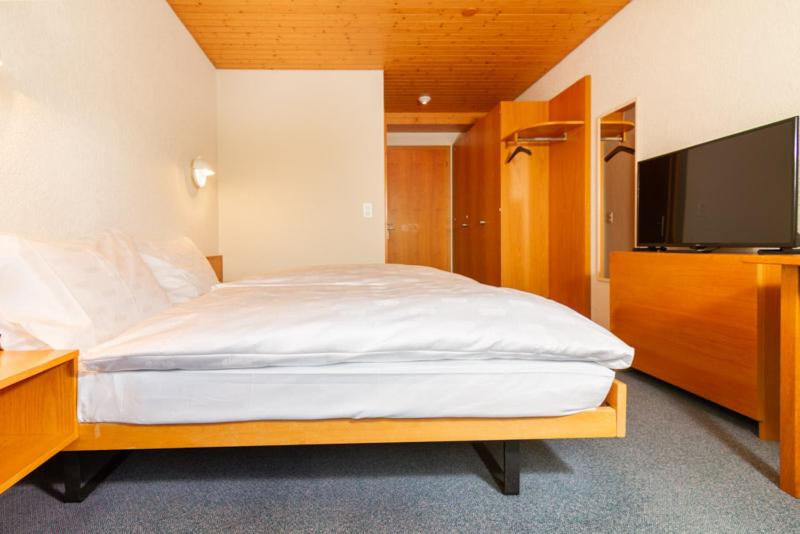 غرفة قياسية حمام مشترك, Swiss Views