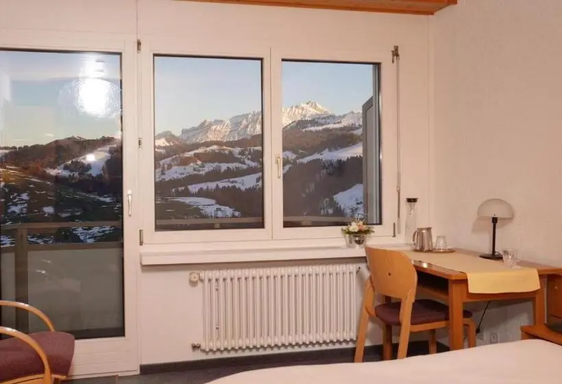 スタンダードシングルルーム, Swiss Views
