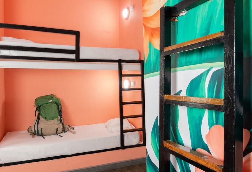 ルームシェアのワンベッド, Hostal Seven Nights Cartagena