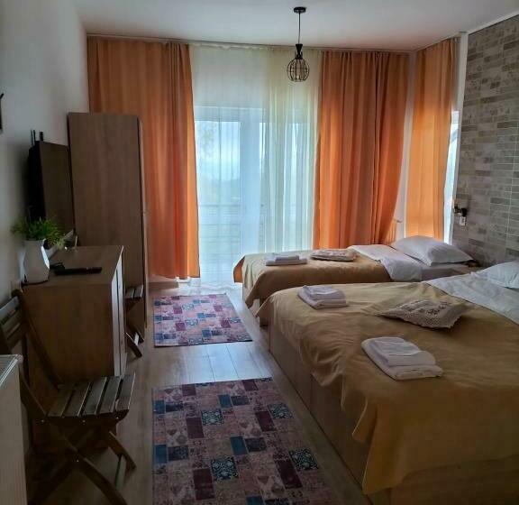 Номер Стандарт Трехместный, Conacul Doamnei Nucșoara