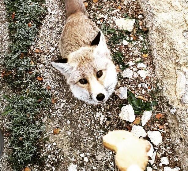 スタンダードルーム, Room In Casa Castiglia A Woodhouse With Beautiful View Close Madonie Park