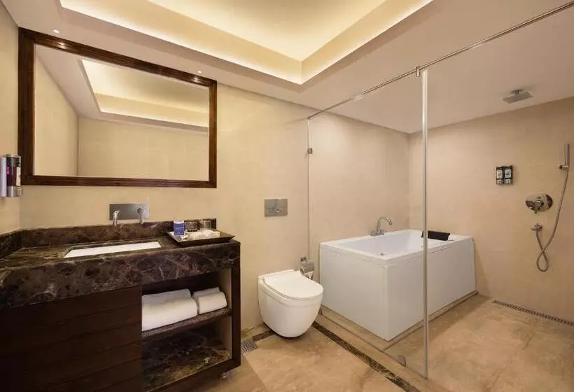 エクゼクティブスイート, Golden Tulip Srinagar