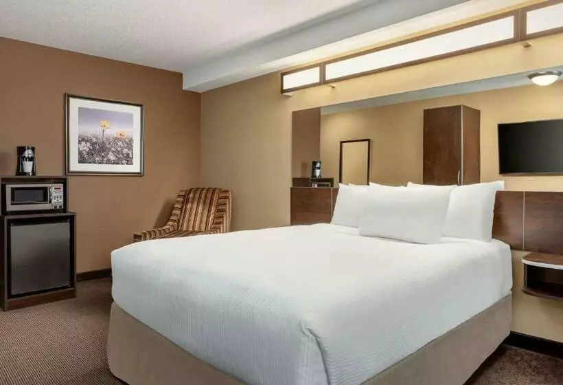 身障者適用スタンダードルーム, Microtel Inn & Suites By Wyndham Estevan