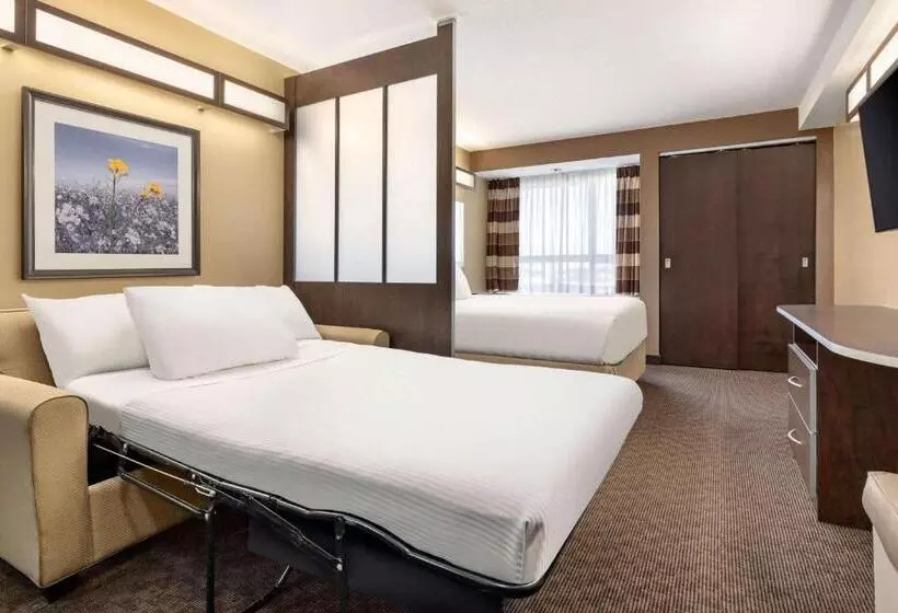 ビジネスルーム, Microtel Inn & Suites By Wyndham Estevan