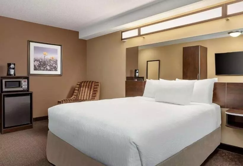 スタンダードルーム, Microtel Inn & Suites By Wyndham Estevan
