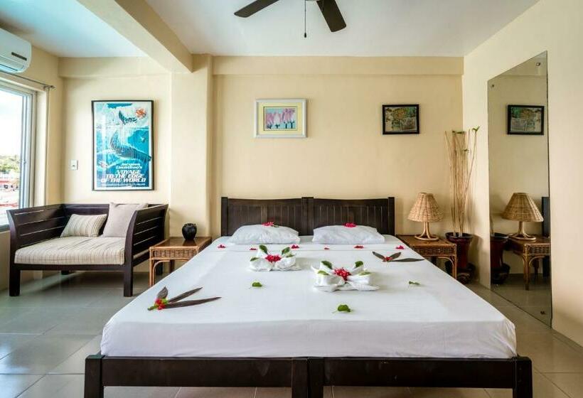 Номер Стандарт Вид на Море, Scandi Divers