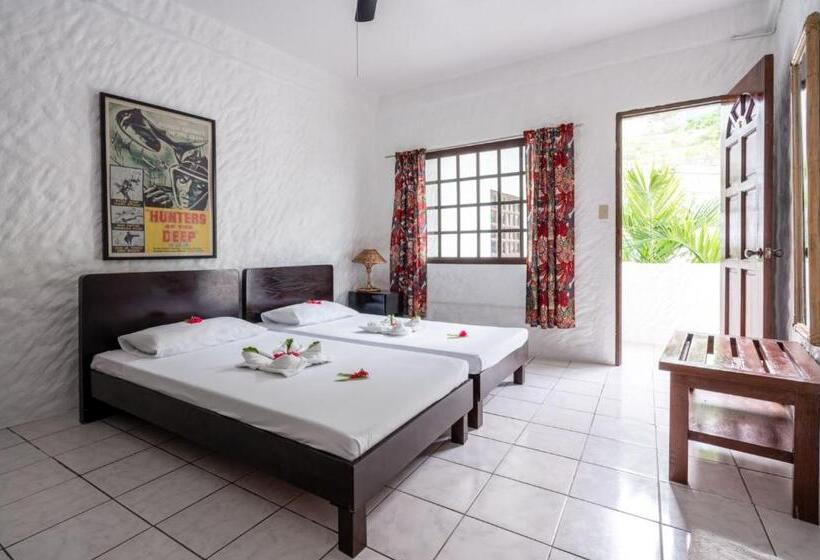 Номер Стандарт Вид на Бассейн, Scandi Divers