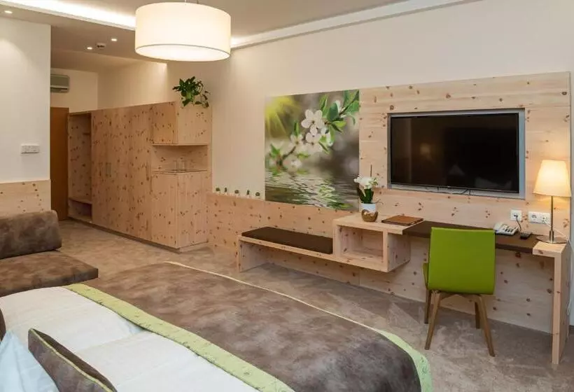 プールビュースタンダードルーム, Thermenhotel Puchasplus Stegersbach