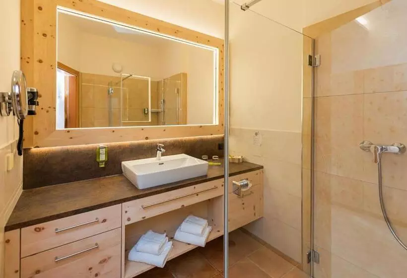 プールビュースタンダードルーム, Thermenhotel Puchasplus Stegersbach