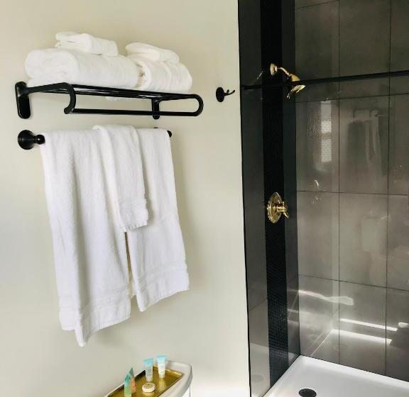 غرفة سوبيريور سرير كينج, Stevenson