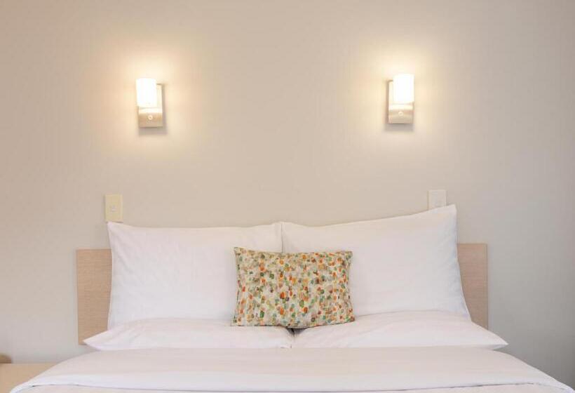 스탠다드 스튜디오, Bella Vista Motel Whangarei