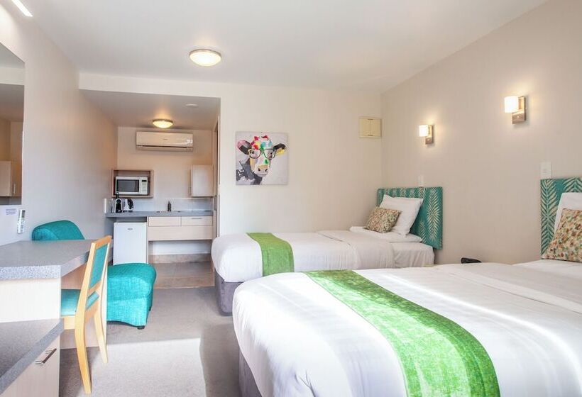 이그제큐티브 스튜디오, Bella Vista Motel Whangarei