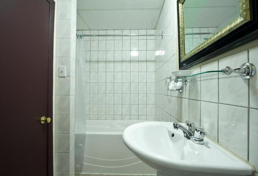 带2个双人床的标准工作室, Bon Accueil