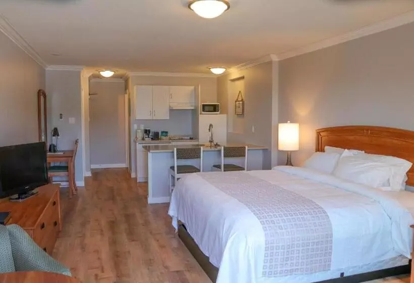 سوئیت با تخت بزرگ, The Waterfront Suites And Marina