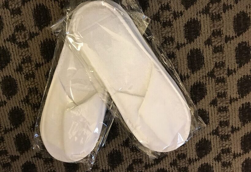 스탠다드 룸, Yonago Washington Hotel Plaza