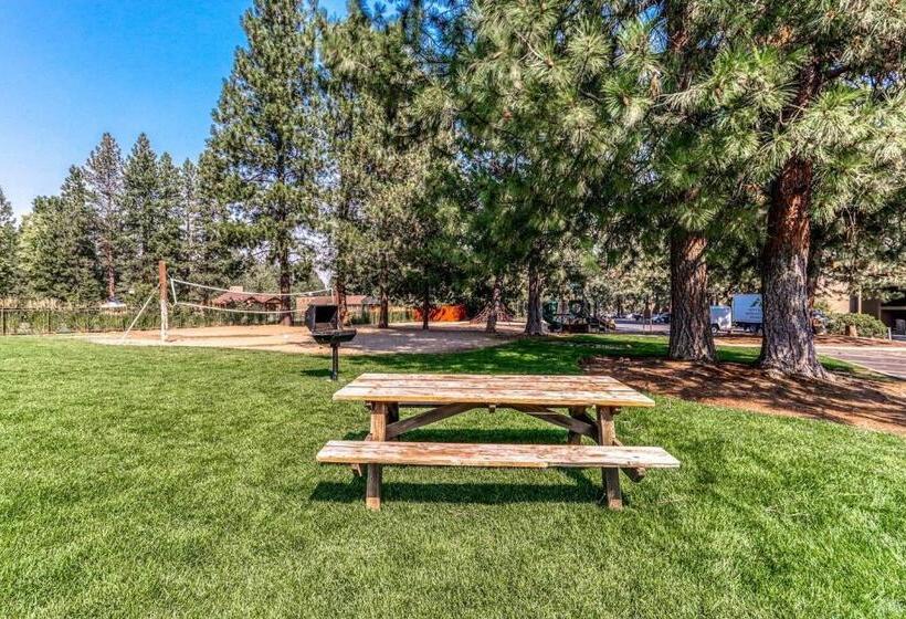 آپارتمان 1 خوابه با چشم‌انداز, Seventh Mountain Resort