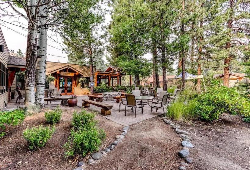 آپارتمان 1 خوابه با چشم‌انداز, Seventh Mountain Resort