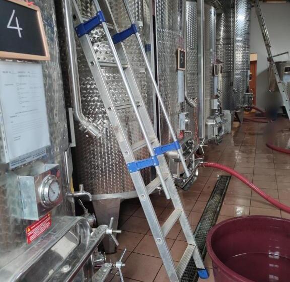 דירת חדר בקומת קרקע, Vigna Al Parco