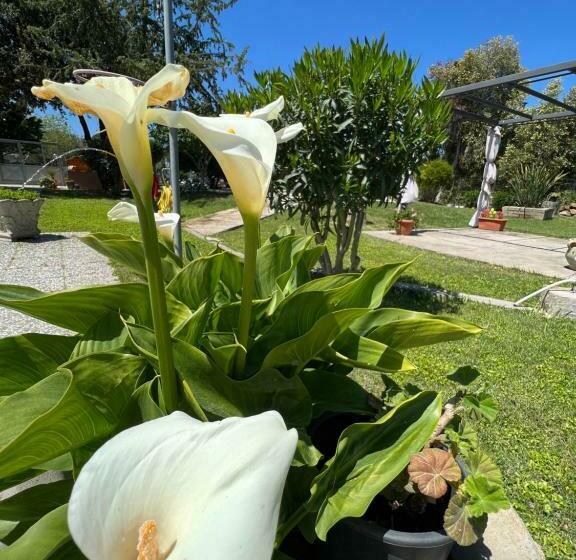 Maison 3 Chambres, Tra Terra E Mare