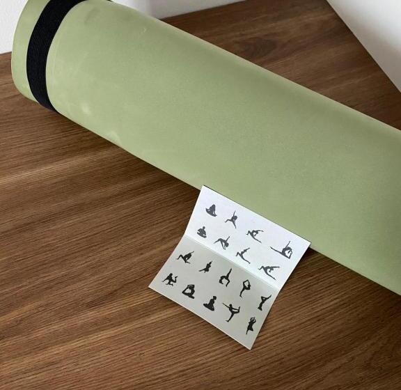 דירת חדר, Rubo