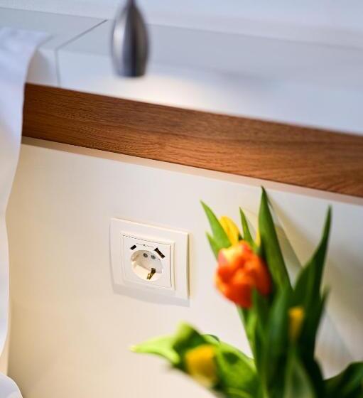 דירת חדר, Rubo