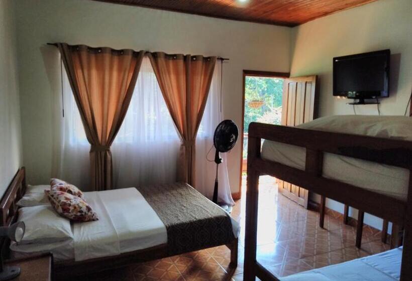 带阳台标准四人间, Morgan